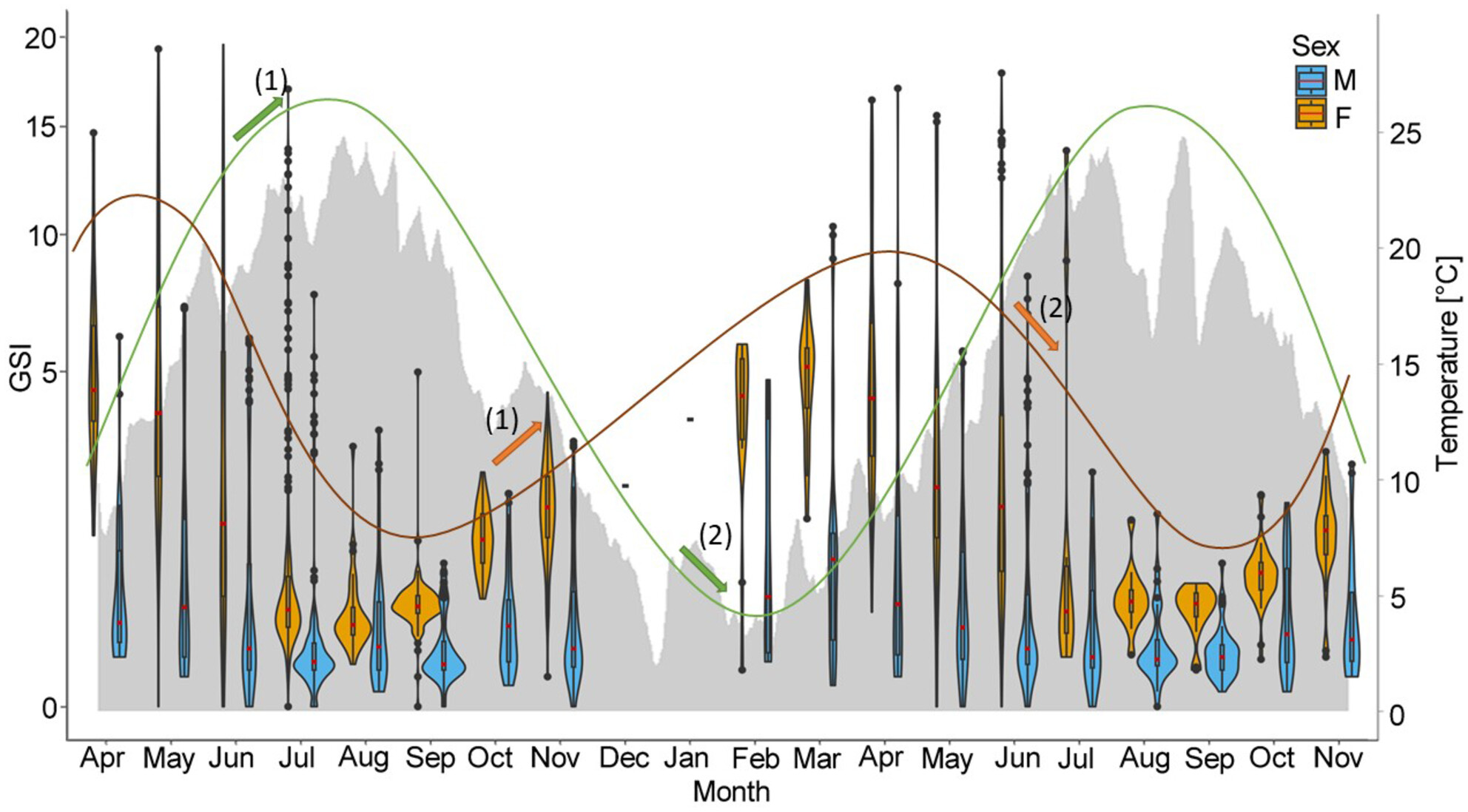 Characterization of the reproductive strategy of invasive Round Goby (Neogobius melanostomus) in the Upper Danube River