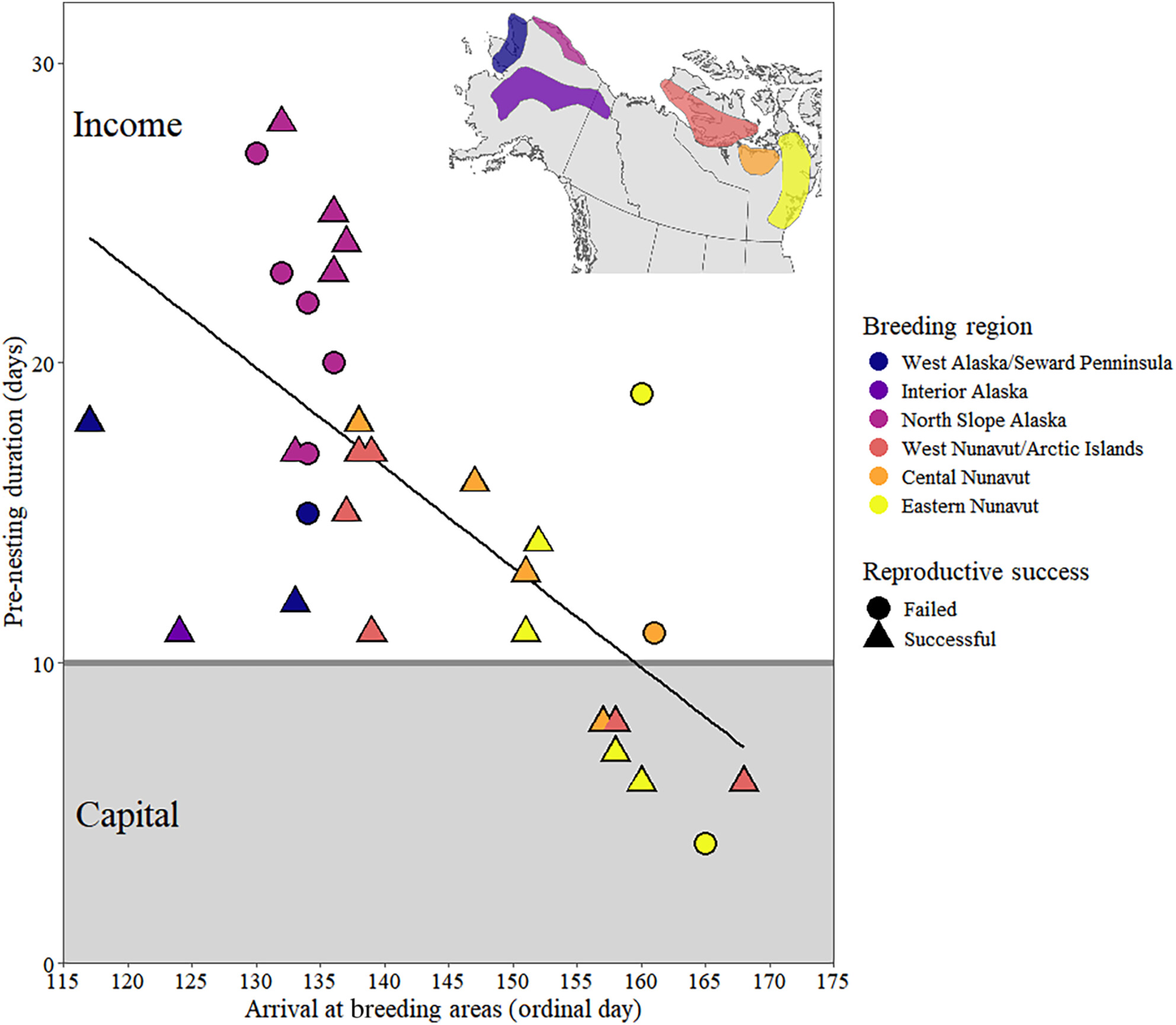 Evidence of longitudinal differences in spring migration strategies of an Arctic-nesting goose