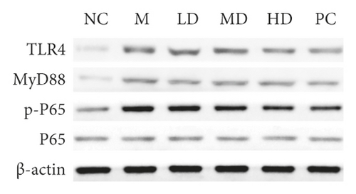 Details are in the caption following the image