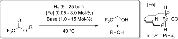 Unprecedented Iron-Catalyzed Ester Hydrogenation. Mild, Selective, and Efficient Hydrogenation of Trifluoroacetic Esters to Alcohols Catalyzed by an Iron Pincer Complex