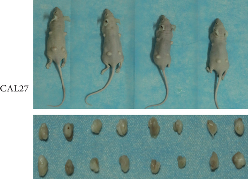 Details are in the caption following the image