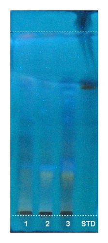 Details are in the caption following the image