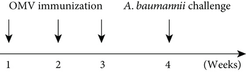 Details are in the caption following the image