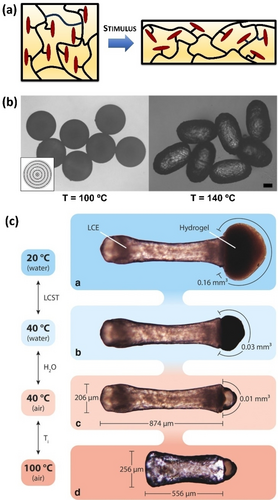 Details are in the caption following the image Details are in the caption following the image
