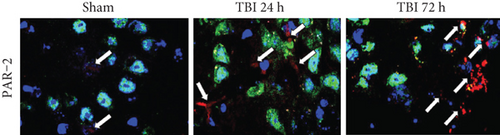 Details are in the caption following the image Details are in the caption following the image