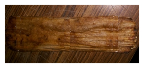 Details are in the caption following the image Details are in the caption following the image