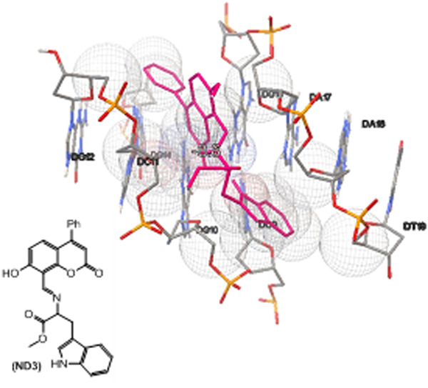New nanodrug design for cancer therapy: Its synthesis, formulation, in vitro and in silico evaluations