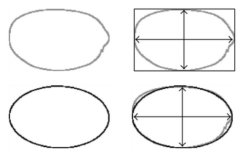 Details are in the caption following the image