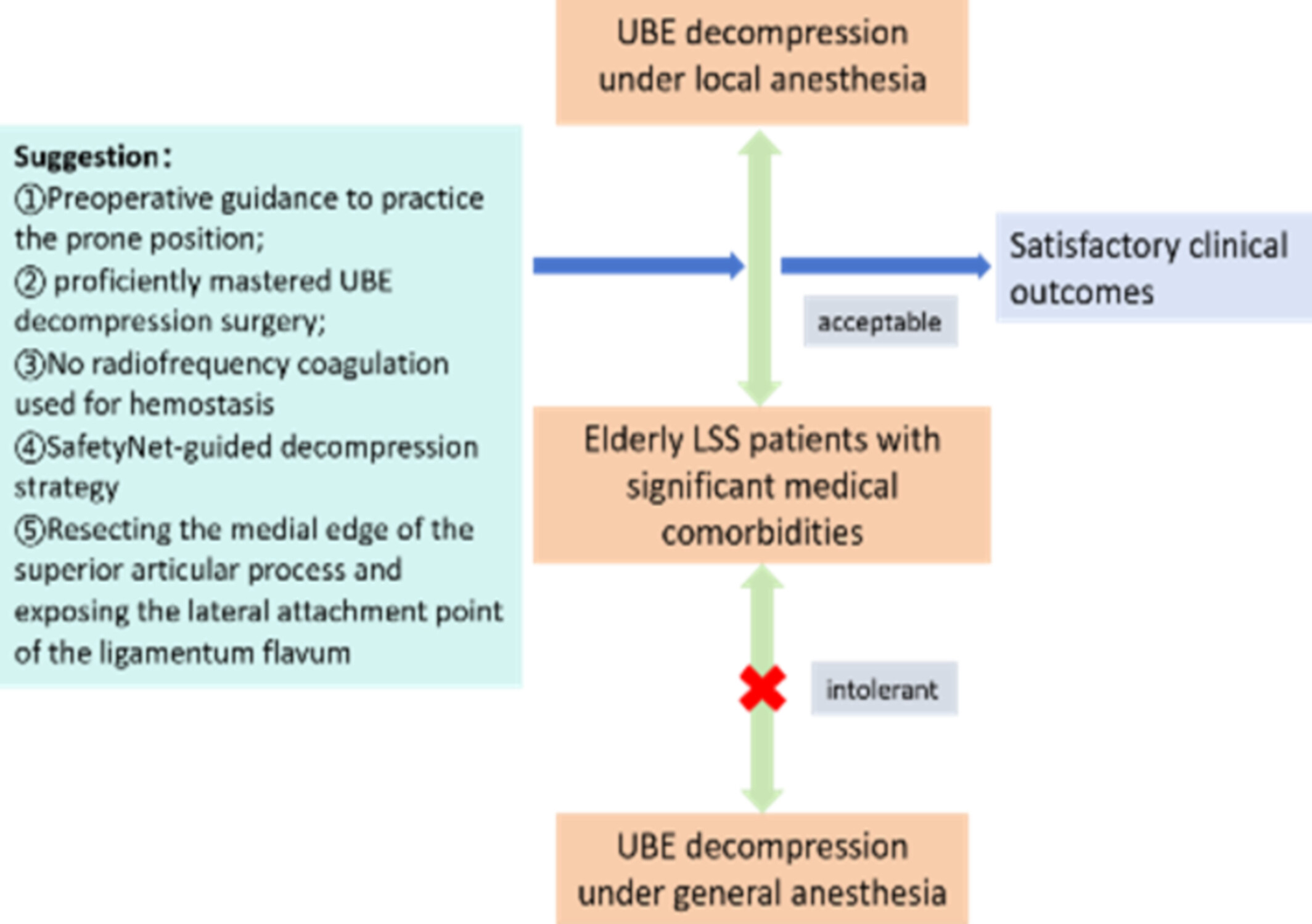 Unilateral Biportal Endoscopic Decompression for Degenerative Lumbar Spinal Stenosis Under Local Anesthesia in Elderly Patients with Medical Comorbidities Issue ,