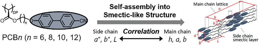 Correlation Between Side-Chain Arrangement and Main-Chain Helix Conformation in Liquid Crystalline Syndiotactic Poly(Substituted Methylene)s Bearing Cyanobiphenyl Mesogens