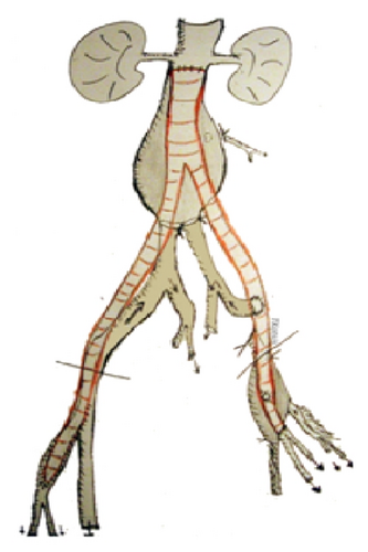 Details are in the caption following the image Details are in the caption following the image