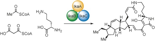 Biokatalytische Totalsynthese von Ikarugamycin