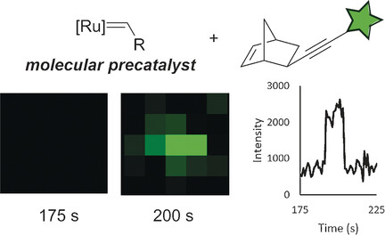 Single Turnover at Molecular Polymerization Catalysts Reveals Spatiotemporally Resolved Reactions