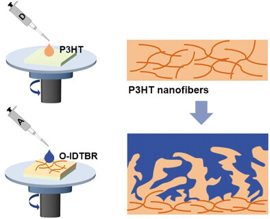 Enhancing the Molecular Order and Vertical Component Distribution of the P3HT/O-IDTBR System during Layer-by-Layer Processing
