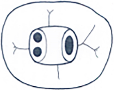 Details are in the caption following the image