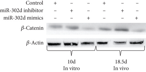 Details are in the caption following the image Details are in the caption following the image