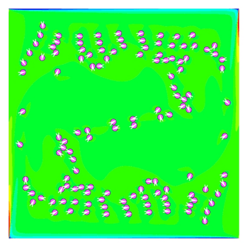 Details are in the caption following the image