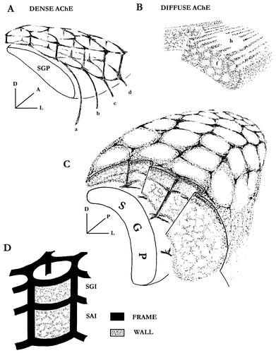 Details are in the caption following the image