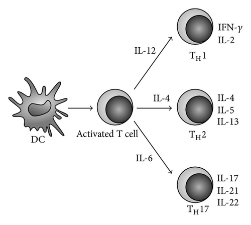 Details are in the caption following the image