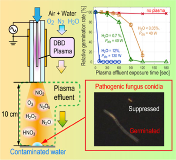 Humidification effect of air plasma effluent gas on suppressing conidium germination of a plant pathogenic fungus in the liquid phase