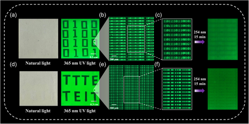 Details are in the caption following the image Details are in the caption following the image