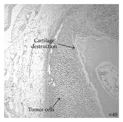 Details are in the caption following the image