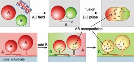Nanoparticle Formation in Giant Vesicles: Synthesis in Biomimetic Compartments