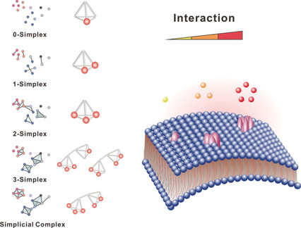 DNA Framework-Based Topological Cell Sorters