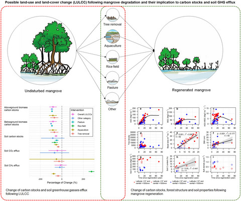 Effect of land-use and land-cover change on mangrove blue carbon: A systematic review