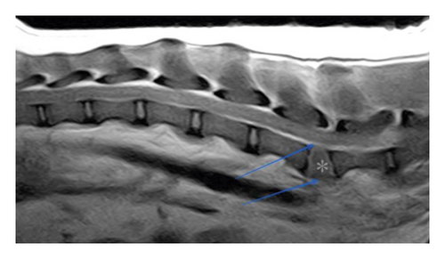Details are in the caption following the image