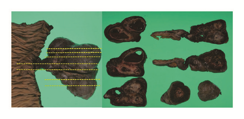 Details are in the caption following the image Details are in the caption following the image