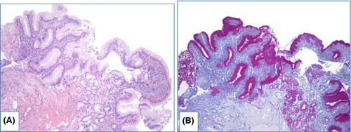 Details are in the caption following the image Details are in the caption following the image