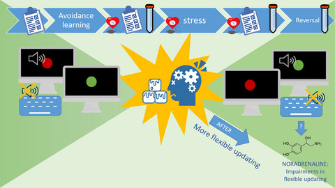 Examining the effect of stress on the flexible updating of avoidance responses