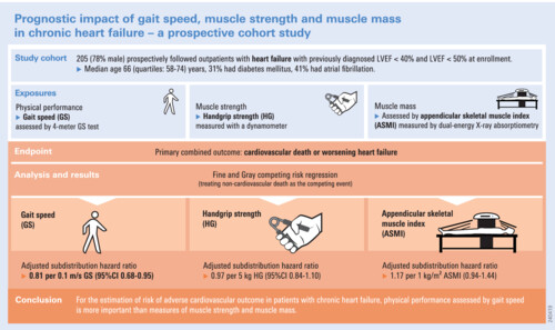 Prognostic impact of gait speed, muscle strength and muscle mass in chronic heart failure—A prospective cohort study