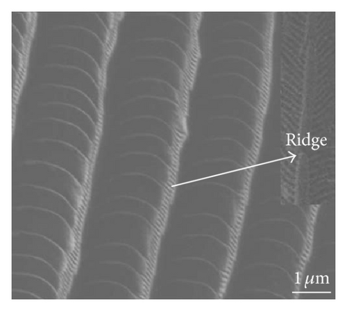 Details are in the caption following the image