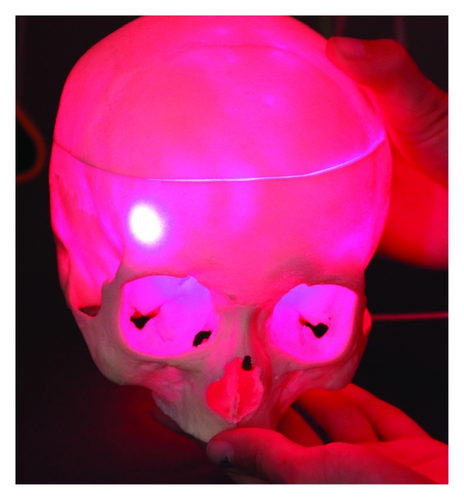 Details are in the caption following the image Details are in the caption following the image