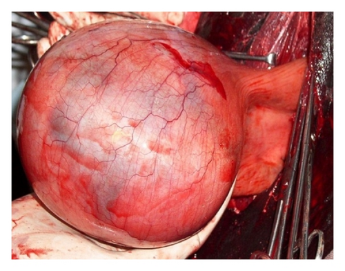 Details are in the caption following the image Details are in the caption following the image