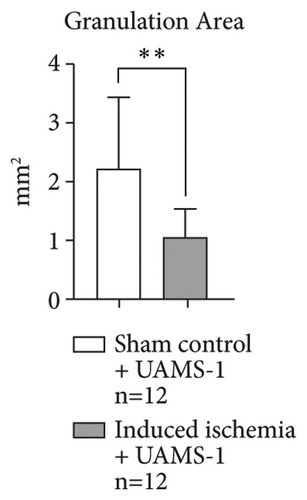 Details are in the caption following the image