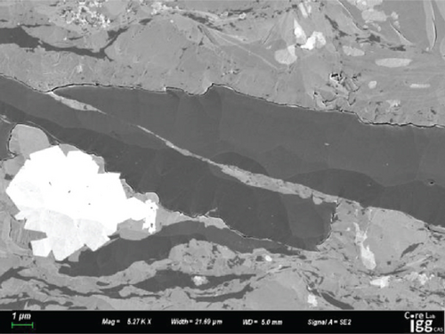 Details are in the caption following the image