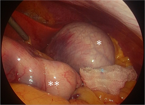 Details are in the caption following the image Details are in the caption following the image