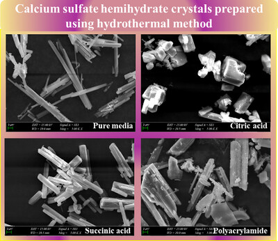 Effect of Organic Additives on the Structure and Morphology of Calcium Sulfate Hemihydrate Prepared Using Hydrothermal Method Issue ,