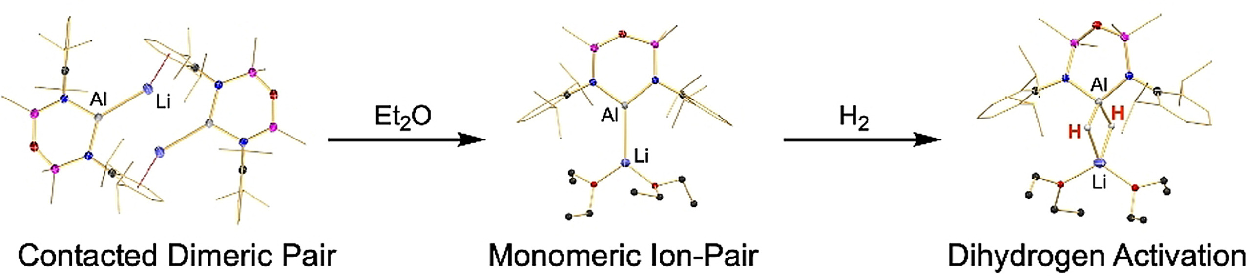 Dihydrogen Activation by Lithium- and Sodium-Aluminyls