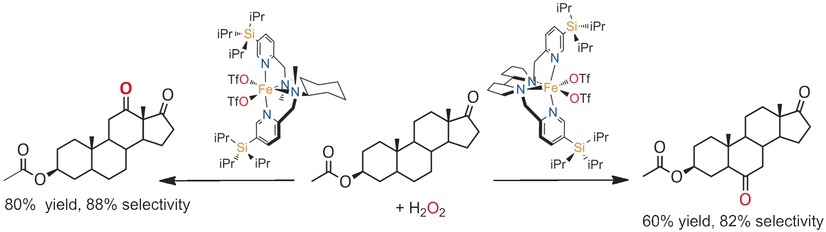 Readily Accessible Bulky Iron Catalysts exhibiting Site Selectivity in the Oxidation of Steroidal Substrates