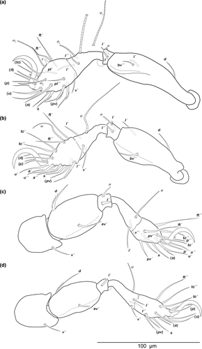 Details are in the caption following the image Details are in the caption following the image