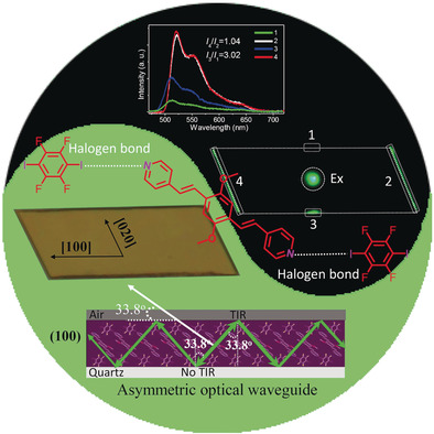 2D Organic Photonics: An Asymmetric Optical Waveguide in Self-Assembled Halogen-Bonded Cocrystals