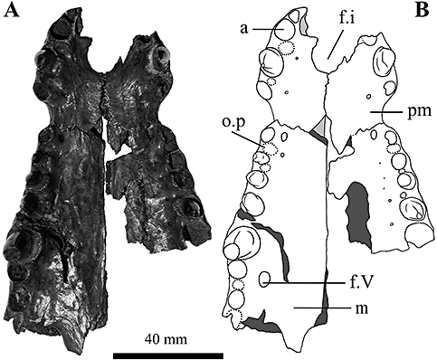 Details are in the caption following the image Details are in the caption following the image