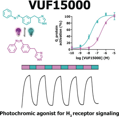 A Photoswitchable Agonist for the Histamine H3 Receptor, a Prototypic Family A G-Protein-Coupled Receptor