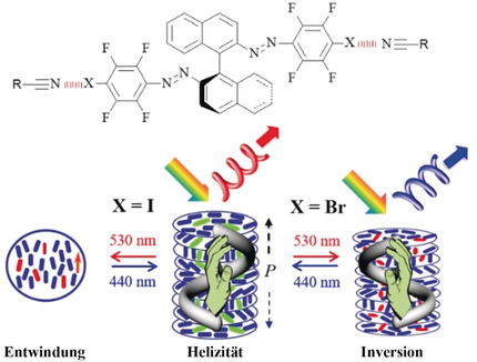 Visible-Light-Driven Halogen Bond Donor Based Molecular Switches: From Reversible Unwinding to Handedness Inversion in Self-Organized Soft Helical Superstructures