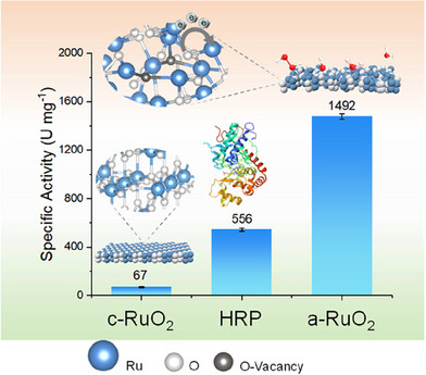 Amorphous RuO2 Nanozymes with an Excellent Catalytic Efficiency Superior to Natural Peroxidases