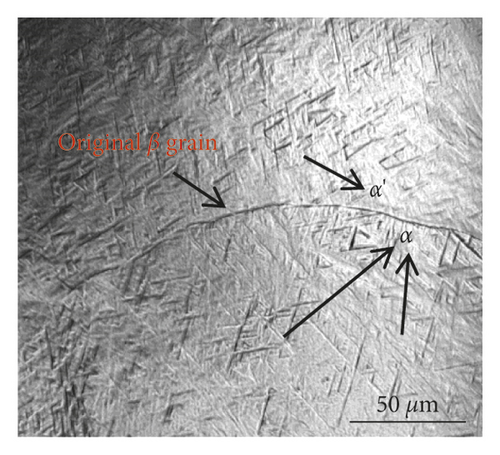 Details are in the caption following the image